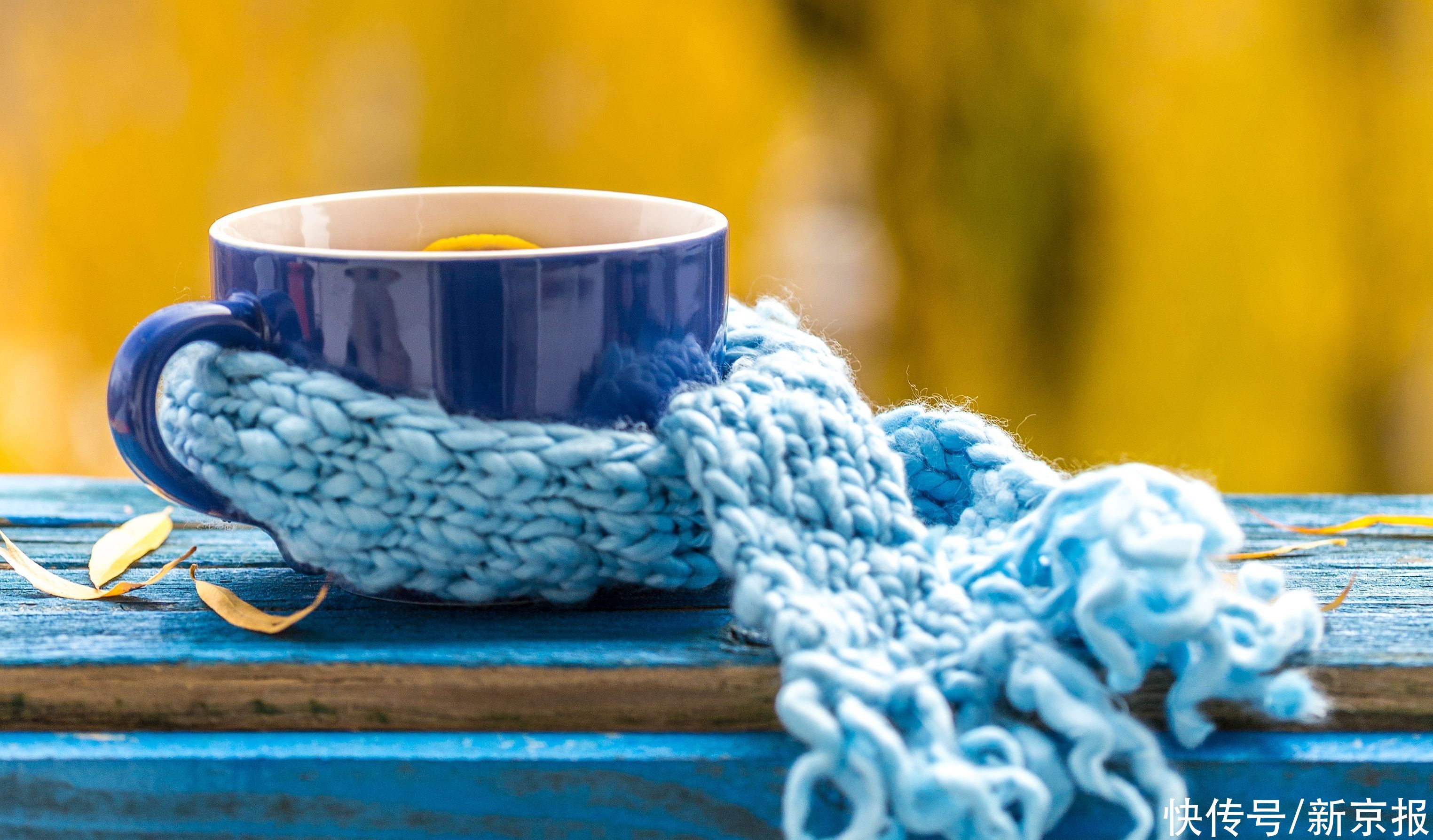 柳宝庆|处暑至、凉风起，适当“秋冻”可提高抗寒能力