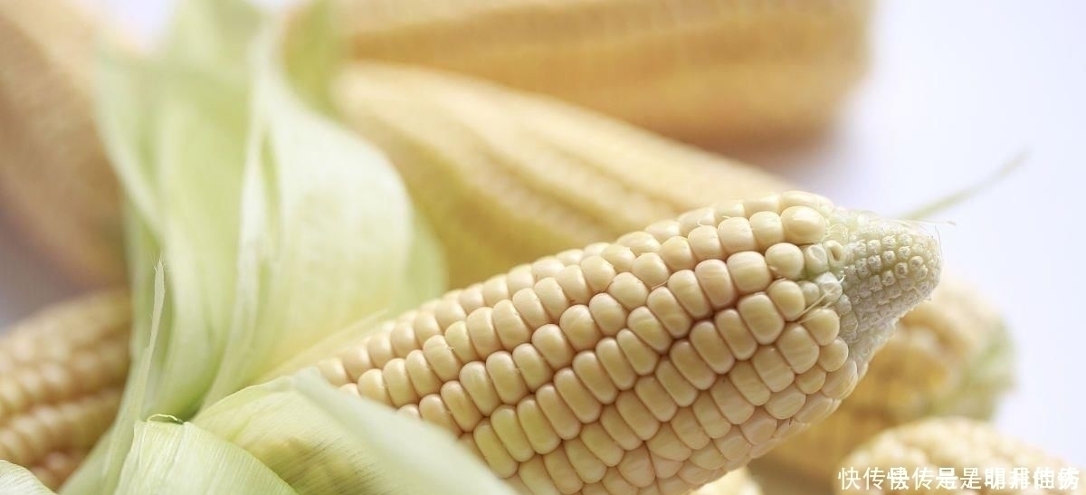 酸奶|公认最长肉的“主食”,第一种堪比“喝油”,劝你管住嘴,别任性