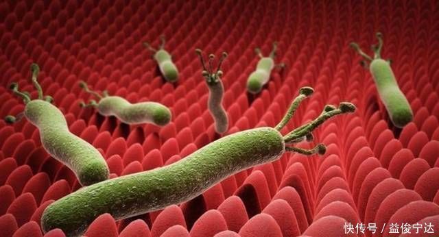 胃溃疡|幽门螺杆菌吃药3年不如用它烧成汤吃7天，杀菌养胃消除胃病胀痛