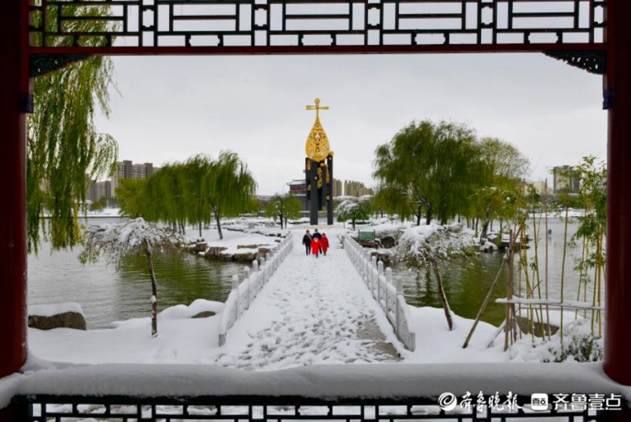 德州平原县|雪景丨德州平原县琵琶湾公园里白雪和绿树相映成趣，美得不得了