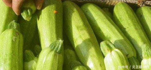 人到中年,可常吃以下食物,排毒消脂,排毒祛湿,肌肤更细嫩