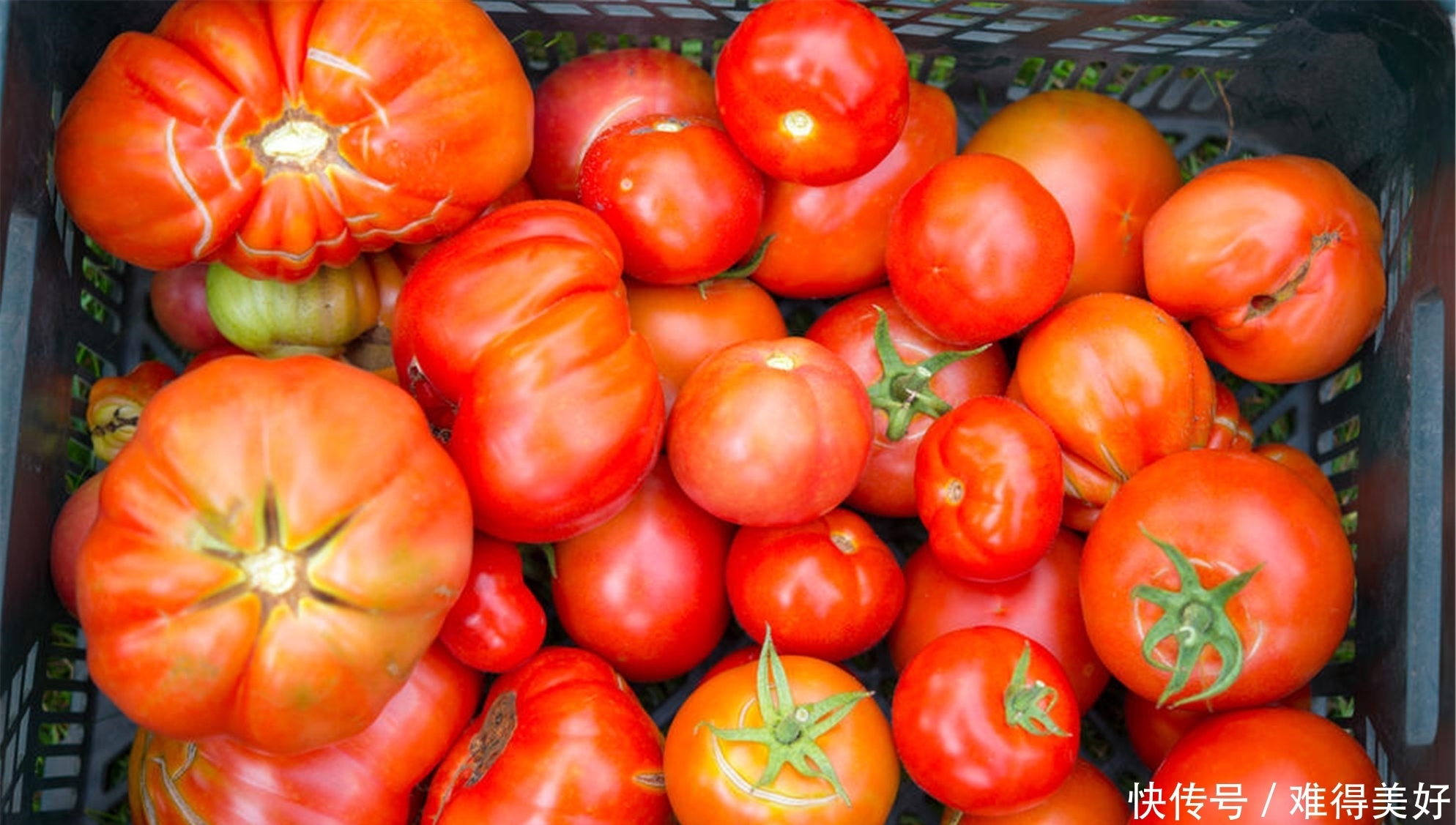 每天一个西红柿，坚持一段时间，6个好处也许会不请自来