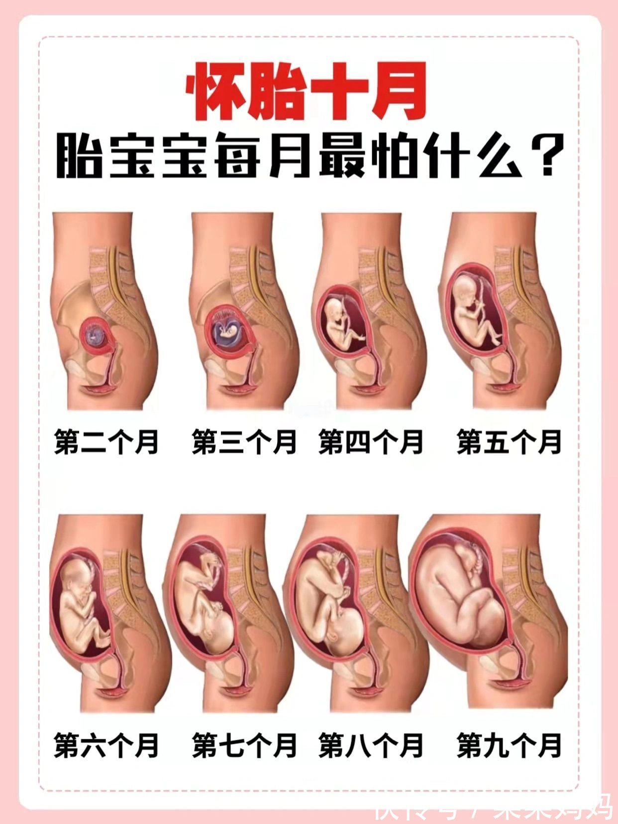 分娩|准妈妈必看孕十月胎儿发育特点及注意事项