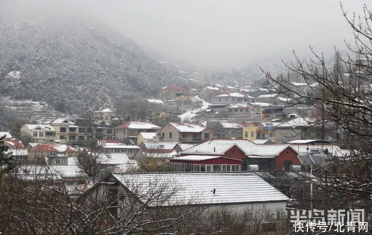 肖枫|你那里是下雨还是下雪？今天，同在青岛，却仿佛不在一个季节...