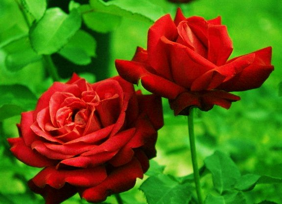 发展|哪些日子出生的人，有过人的胆识，不惧风雨，突破传统，创造价值