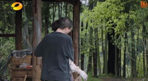 蘑菇|李雪琴，之前還真是“小看”你了