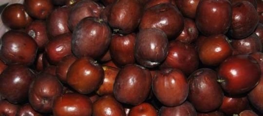 镇静|红枣配上它,大肚子没了,失眠好了女人不想满脸皱纹,可以试试