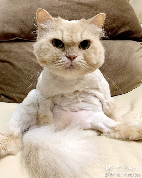 海豚湾恋人|还记得《海豚湾恋人》的许绍洋吗？去当健身教练了？