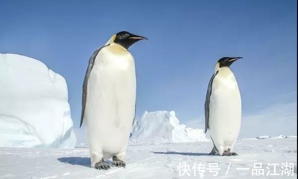 24个冷知识:生物老师看完直呼不可思议,但却真实存在的有趣知识