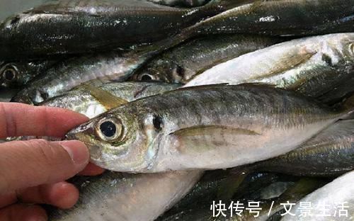 冬天碰到这鱼我从不还价，买它好几斤，酱油水简单一煮就很美味