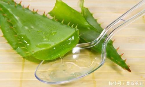 叶皮|芦荟能止痒，亦能过敏，芦荟到底该怎么用