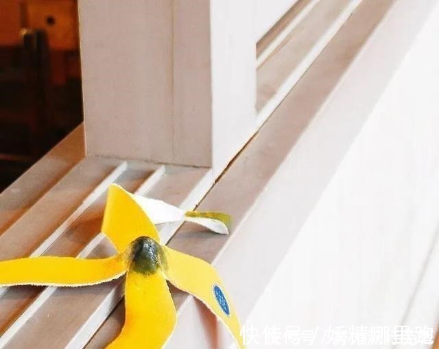 花生|日本设计脑洞有多大读完这些,你将明白