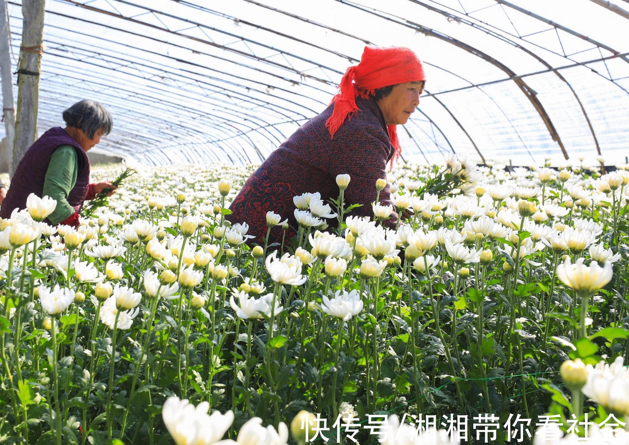 蒼梧少年講述航天夢想