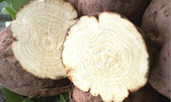 卵巢|女人雌激素低易显老,多吃3种食物,帮你慢慢补足雌激素抗衰老