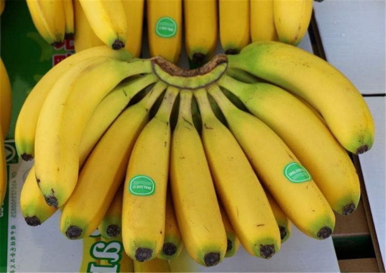 淡化|爱美女性要多吃三种食物,淡化皱纹,美容养颜,有益健康