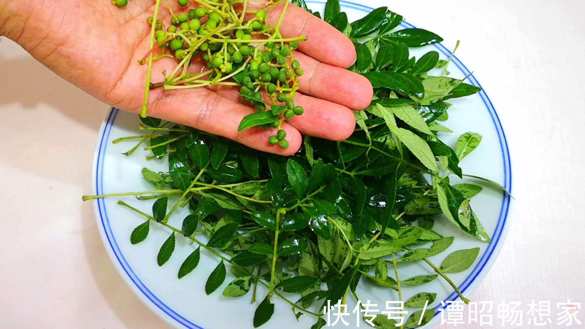 9月，此叶再不吃就过季了，风味独特，一块钱能买2斤，咋做都香