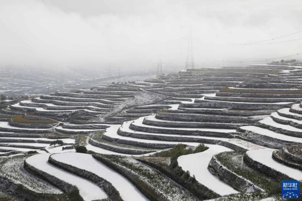 平凉市|雪落甘肃