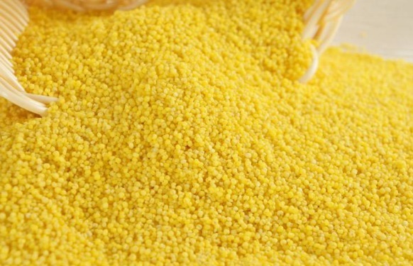 滋阴补血|2种养生好物一起“煮”,健脾益胃,滋阴补血,想不长寿都难