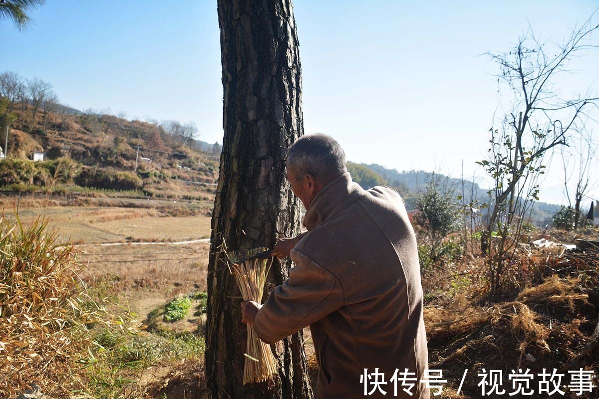 糯稻|80岁大爷住山村，种菜砍柴样样活都干，村民称会“享福”