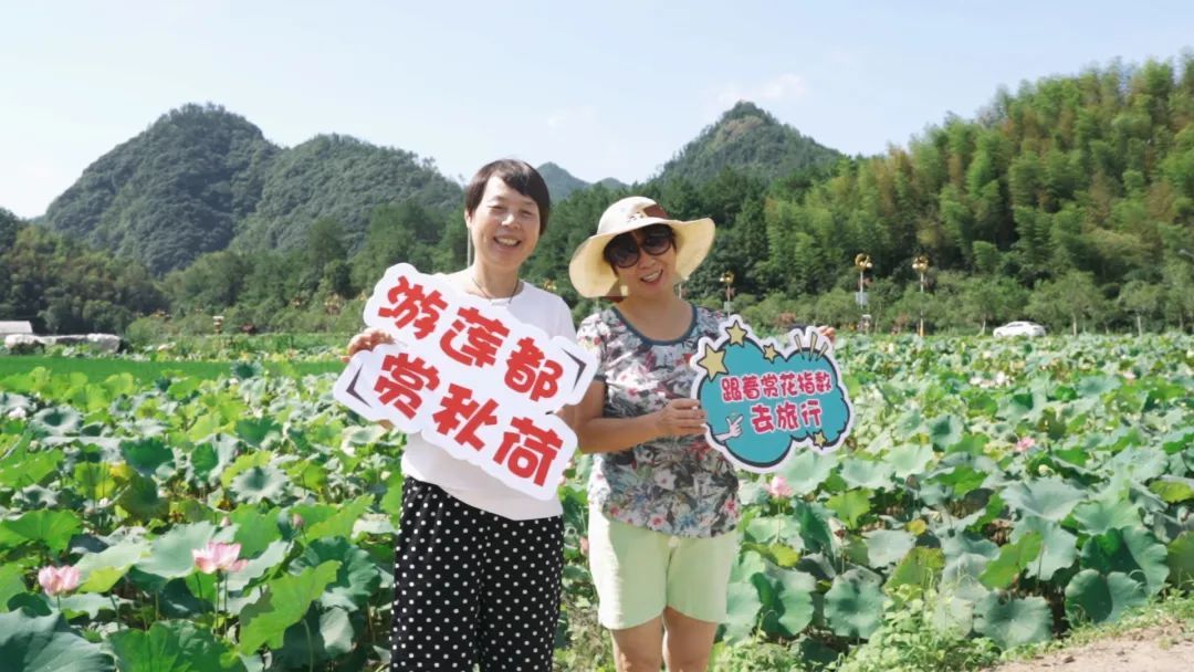 指数|跟着赏花指数嗨起来，在这邂逅花海中的诗和远方