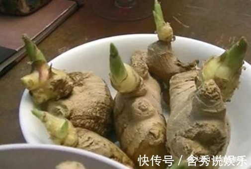 发芽的大蒜、生姜，红薯还能吃吗专家告诉你答案，涨知识了