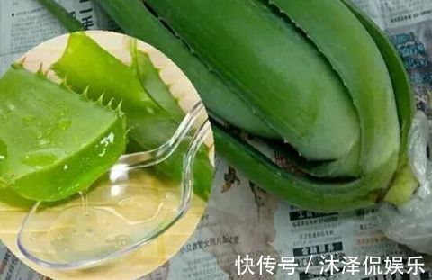 卧室放什么植物盆栽好给你推荐8款不用费心了，净化空气没烦恼!