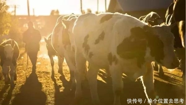 木头|中俄边境藏了个香格里拉，全村只有7户人家，想去那里溜达吗？