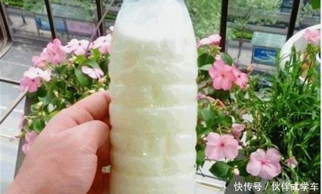植株|有1种“体液”，人们常浪费，殊不知，是花草最爱，比黄豆水都肥！