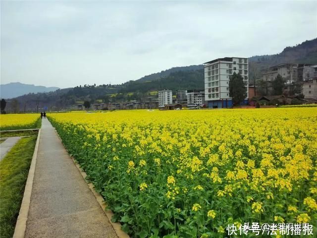 美成仙境!巴中通江“春天的颜色”来了