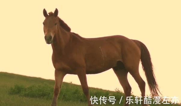 贵人|11月23号起，鸿运到来，3生肖贵人助力，闯出名堂，生意兴隆