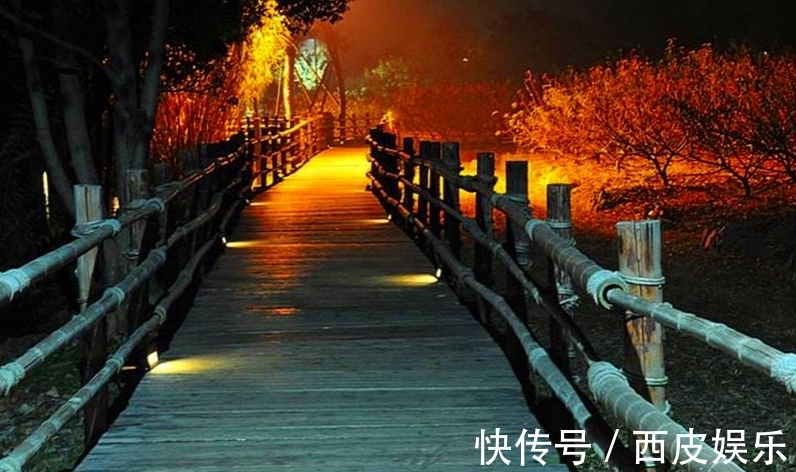 诗家词人$风雪寒天、冬夜漫漫,常人梦正酣,却有诗家词人辗转反侧为哪般?