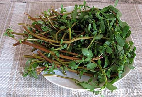 营养价值|六月土豆黄瓜靠边站,最该吃的是它,营养美味还下火,错过很可惜