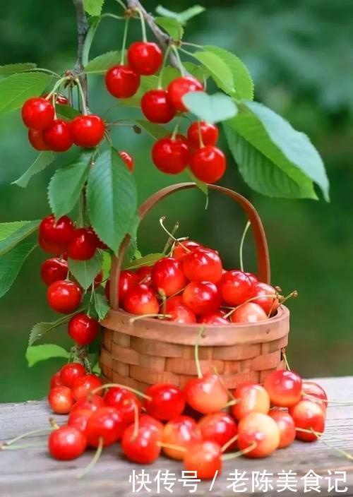 手把手|吃不完的水果怎么保鲜,能保鲜多长时间,手把手教你水果保存方法