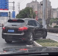 |搞笑GIF:铲屎的赶紧把我放了,否则我拆了你的后备箱