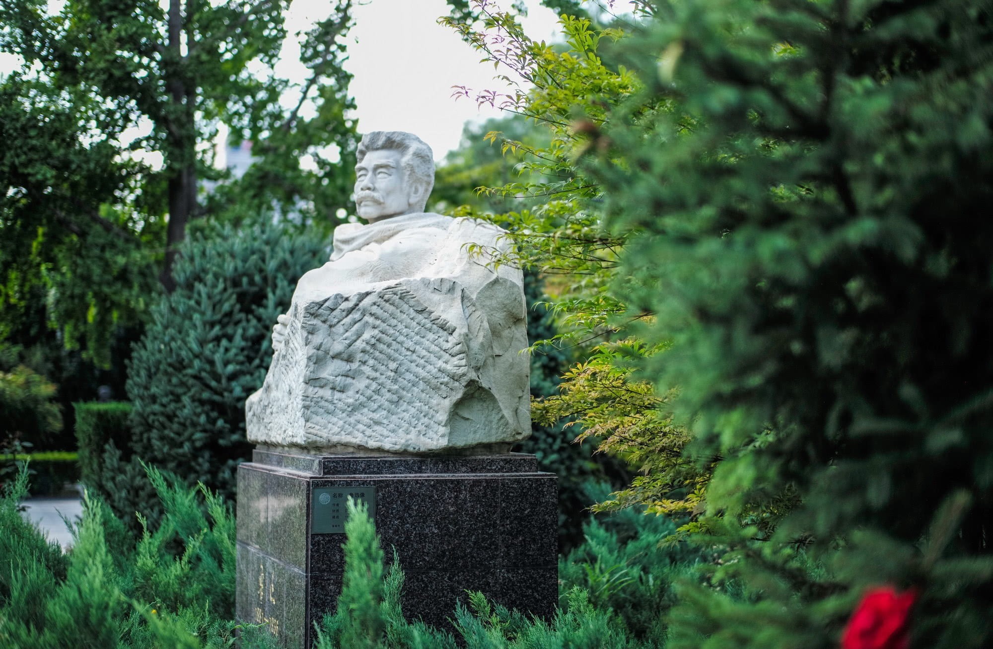 小巷|这小巷中两棵枣树有何神奇,众人争相参观,还引发百年争议