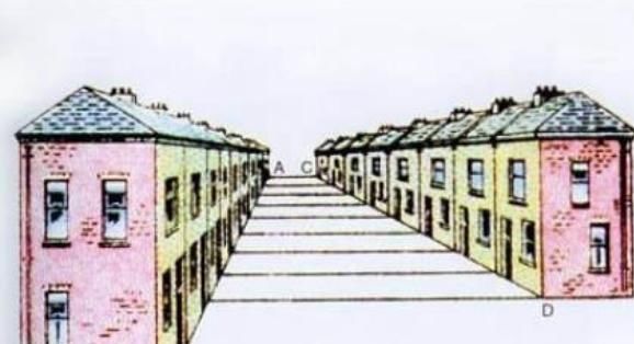 头脑|最新老年痴呆测试:图中大象一共有多少条腿?答对的人头脑很聪明