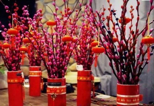 颜值超高|4种花颜值超高,漂亮似牡丹,四季有花开,香气怡人,是盆栽佳品