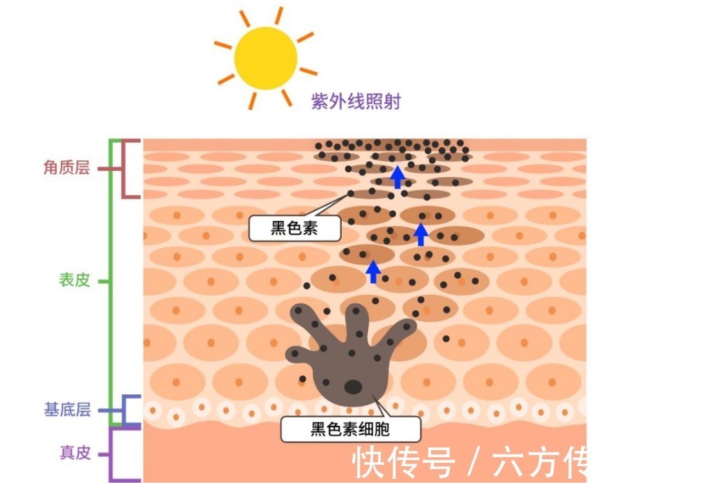 营养物质|29岁宝妈，产后变黄脸婆，医生叹气：这3事做错了，需及时改正