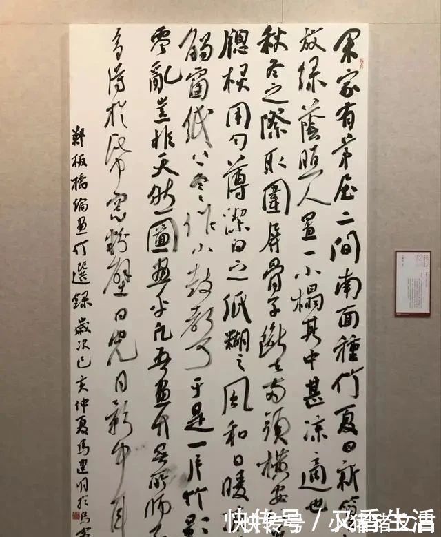 国展$“烧鸡体”成为12届国展的新宠儿,用笔时新时古,古今合一