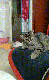 |搞笑GIF:今天带女神去表演真正的技术,实力单身