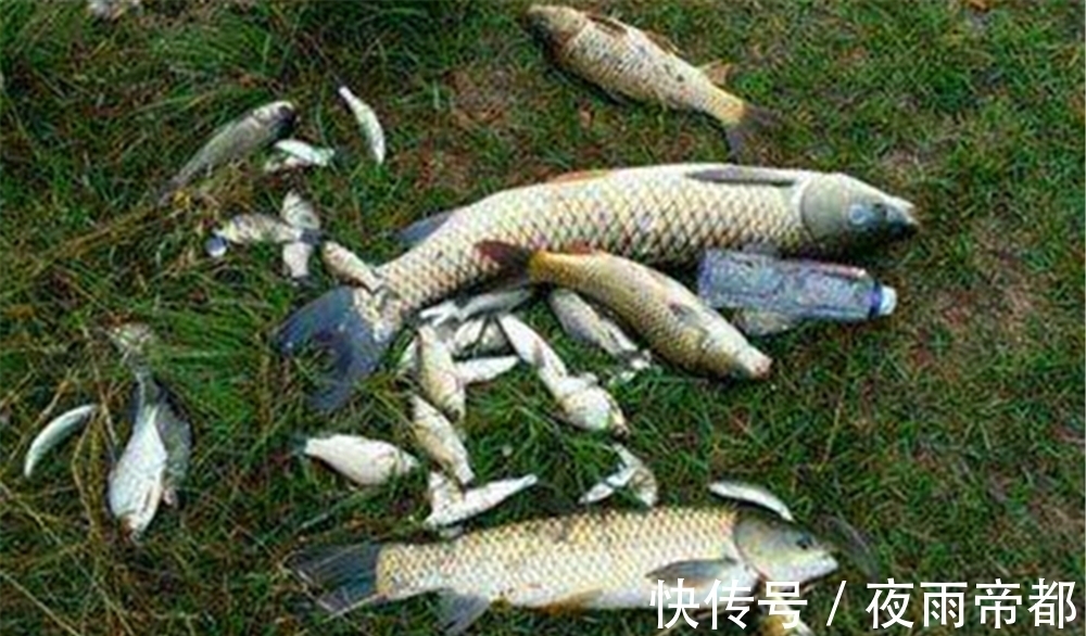 调漂方法大全:图解无钩调漂,双钩始终躺底,钓大鱼最佳调漂方法