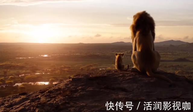 |动物搞笑照片的背后,是狮子的生存逻辑,和雄狮对流言蜚语的辩白