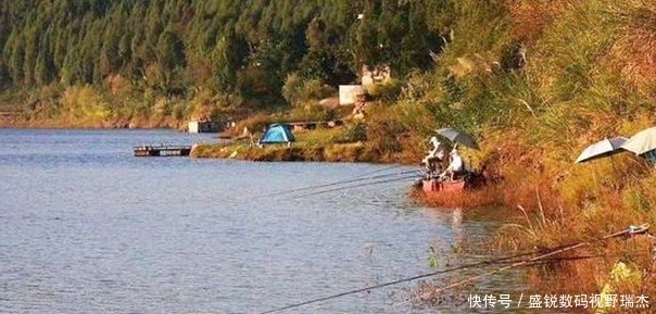 钓友们|野钓钓位不要相邻太近，孤单一些更加容易爆护