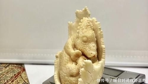 独角鲸牙真假怎么区分？