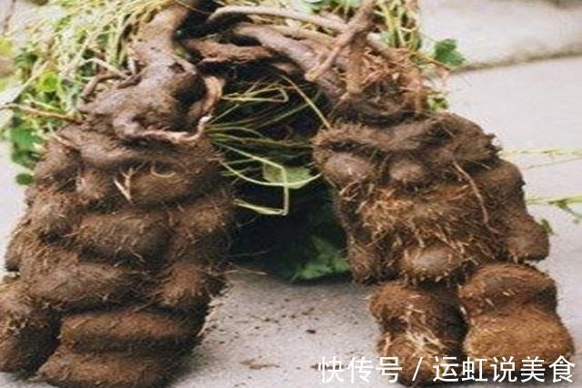 排毒素|害怕妇科炎症女性别慌,常喝3种水,排毒素、养子宫