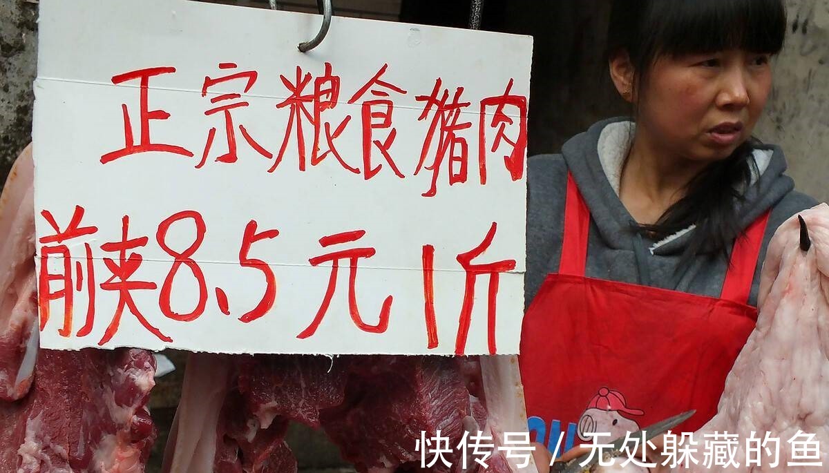 11月，遇到此5种鱼别手软！肉肥美，富含脑黄金，孩子老人要多吃！