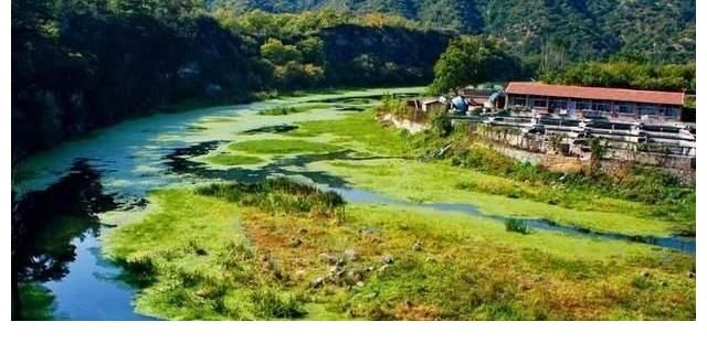 深山闺秀|北京一深山闺秀，山清水秀板栗飘香，人少景美适合遛娃