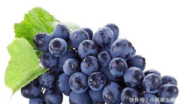 老人|102岁老人脑部年龄仅40,医生都羡慕,原因太简单吃“它”就对了