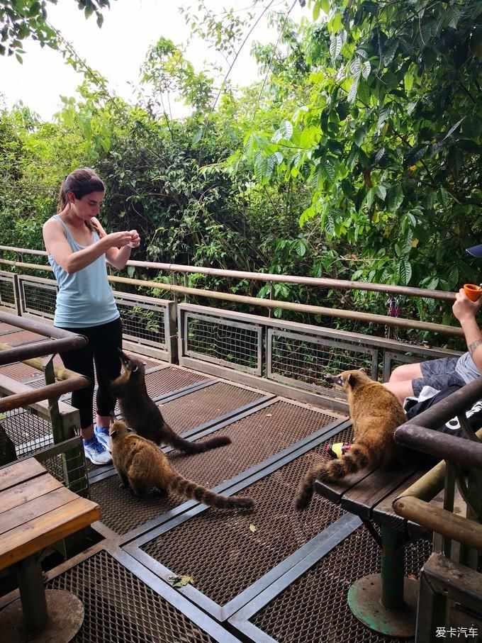 老年|震撼灵魂之旅