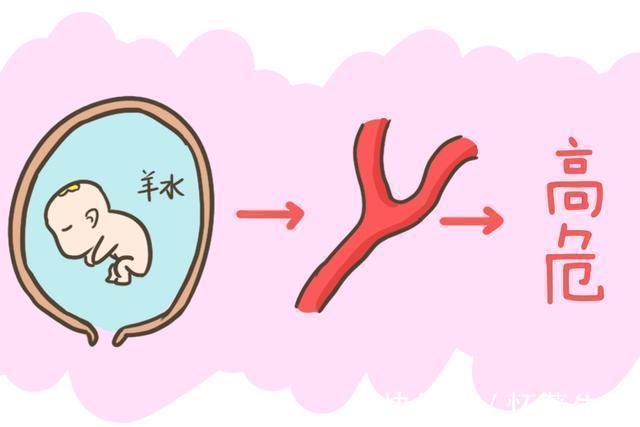 羊膜|怀孕期间最怕羊水偏多、偏少还有浑浊，羊水的这些秘密你都知道吗